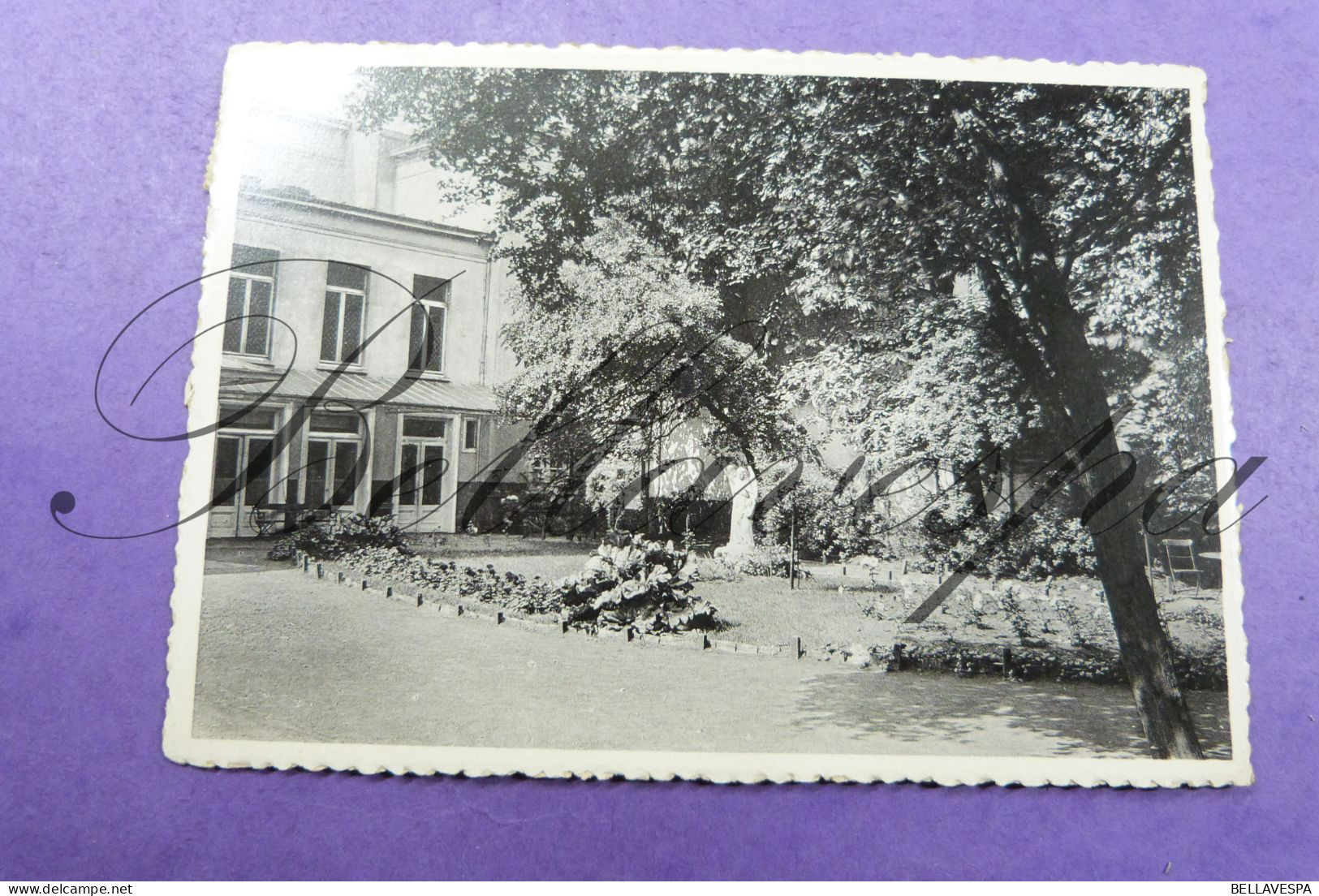 Antwerpen Marie-José Pieter Van Hobokenstraat Hof Tuin Jardin Healt - Antwerpen