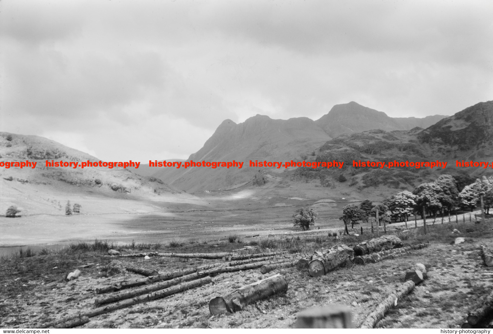 Q002817 Clear Felling Near Blea Tarn. Cumbria. 1973 - REPRODUCTION - Andere & Zonder Classificatie