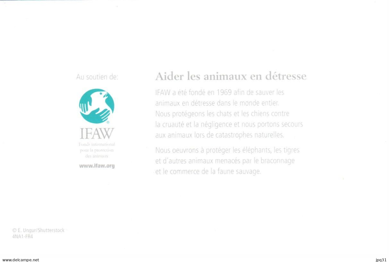 Carte Double IFAW Aider Les Animaux En Détresse - Tigre - Ref 4NA1-FR4 - Tijgers