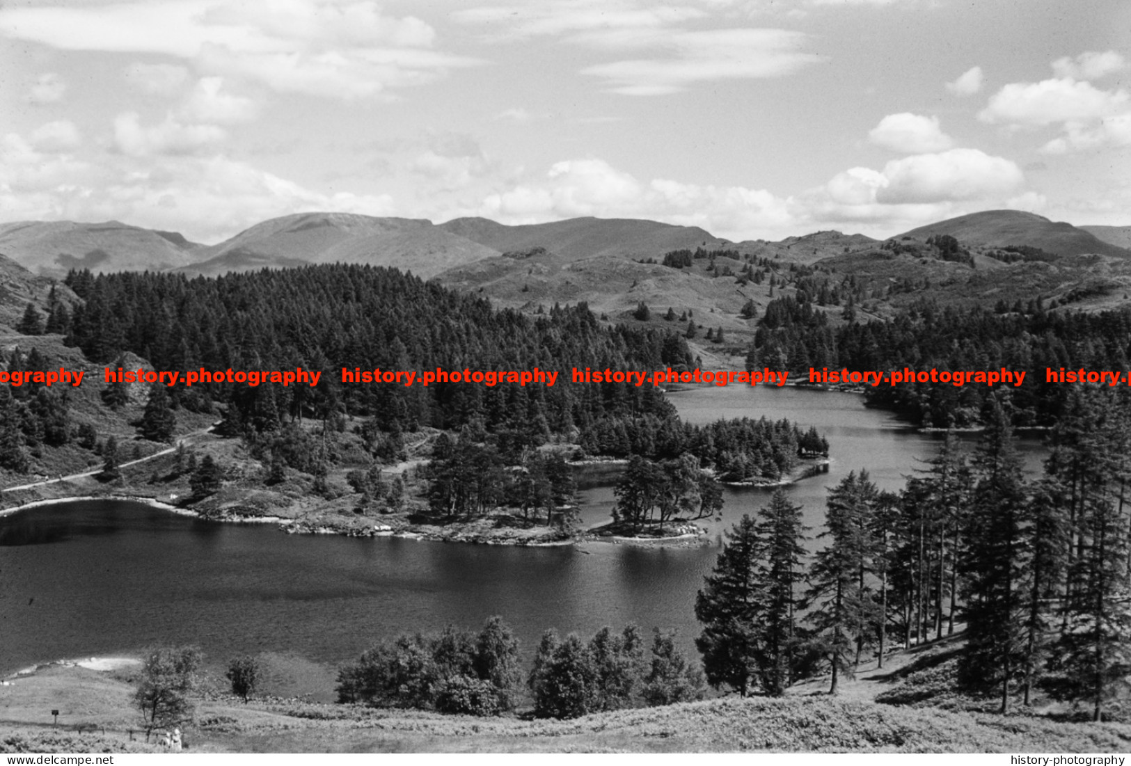 Q002753 Tarn Hows. Lake District. Cumbria. 1970s - REPRODUCTION - Sonstige & Ohne Zuordnung