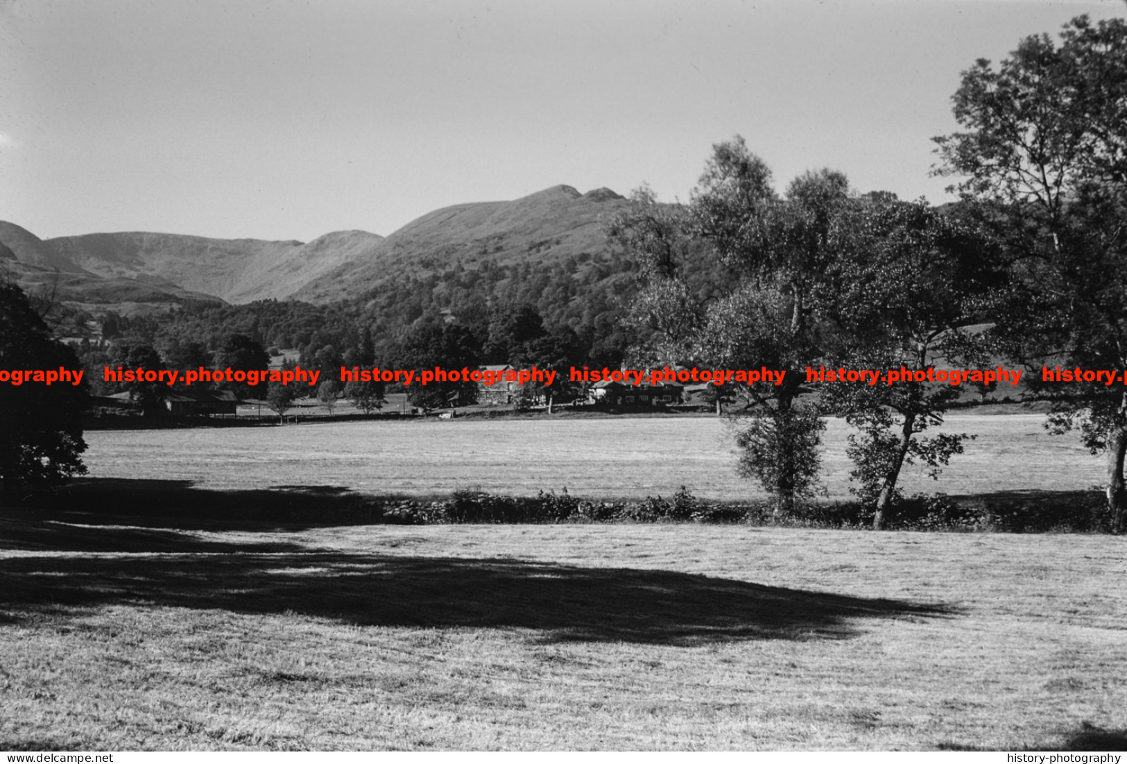 Q002759 Rothay Vale. Cumbria. 1977 - REPRODUCTION - Sonstige & Ohne Zuordnung