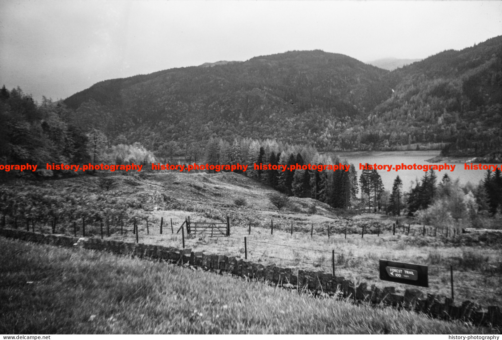 Q002750 Above Thirlmere. Cumbria. 1979 - REPRODUCTION - Sonstige & Ohne Zuordnung