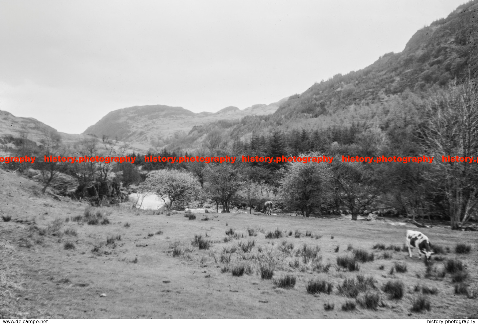 Q003548 Duddon Valley. Lake District. Cumbria. 1964 - REPRODUCTION - Altri & Non Classificati