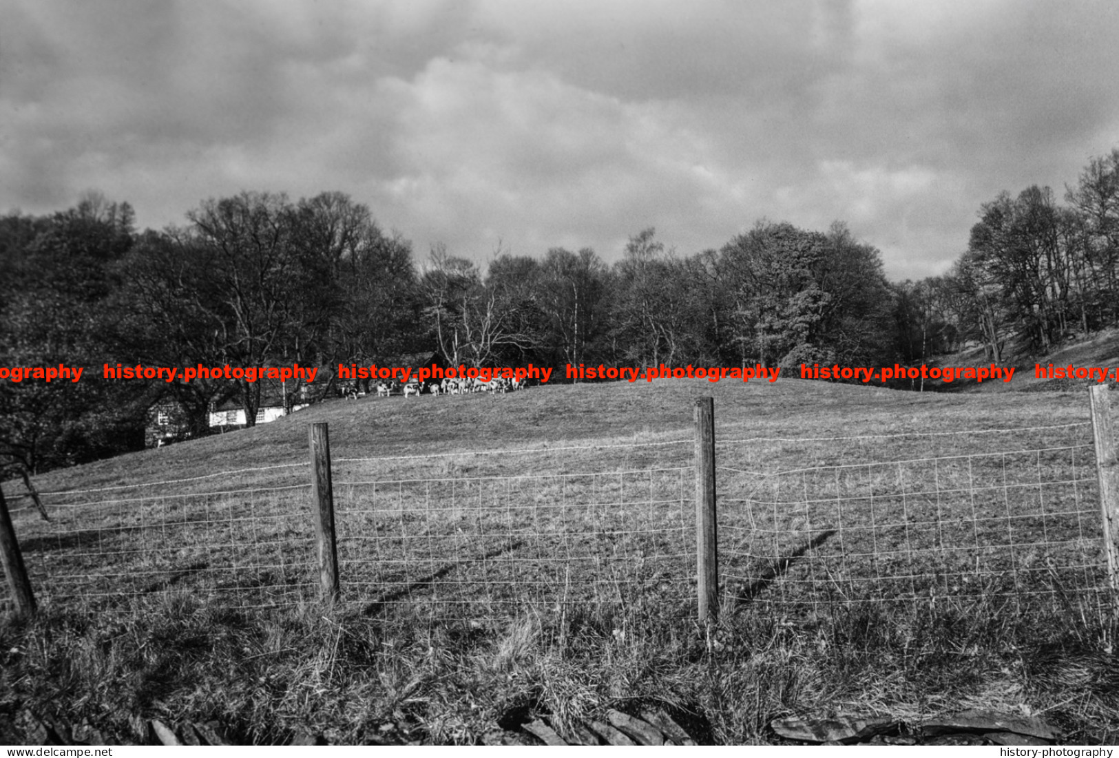 Q003487 Farm. Cumbria. 1977 - REPRODUCTION - Altri & Non Classificati