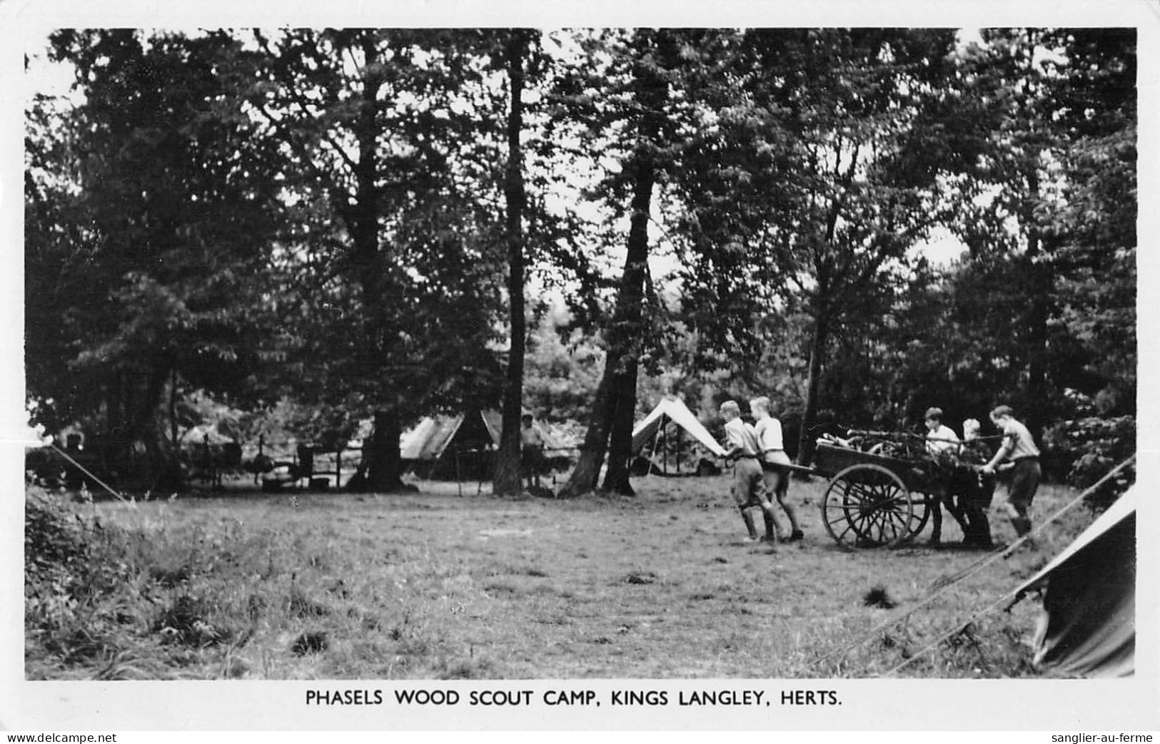 CPA SCOUTISME / SCOUTS / PHASELS WOOD SCOUT CAMP / KINGS LANGLEY / HERTS - Movimiento Scout