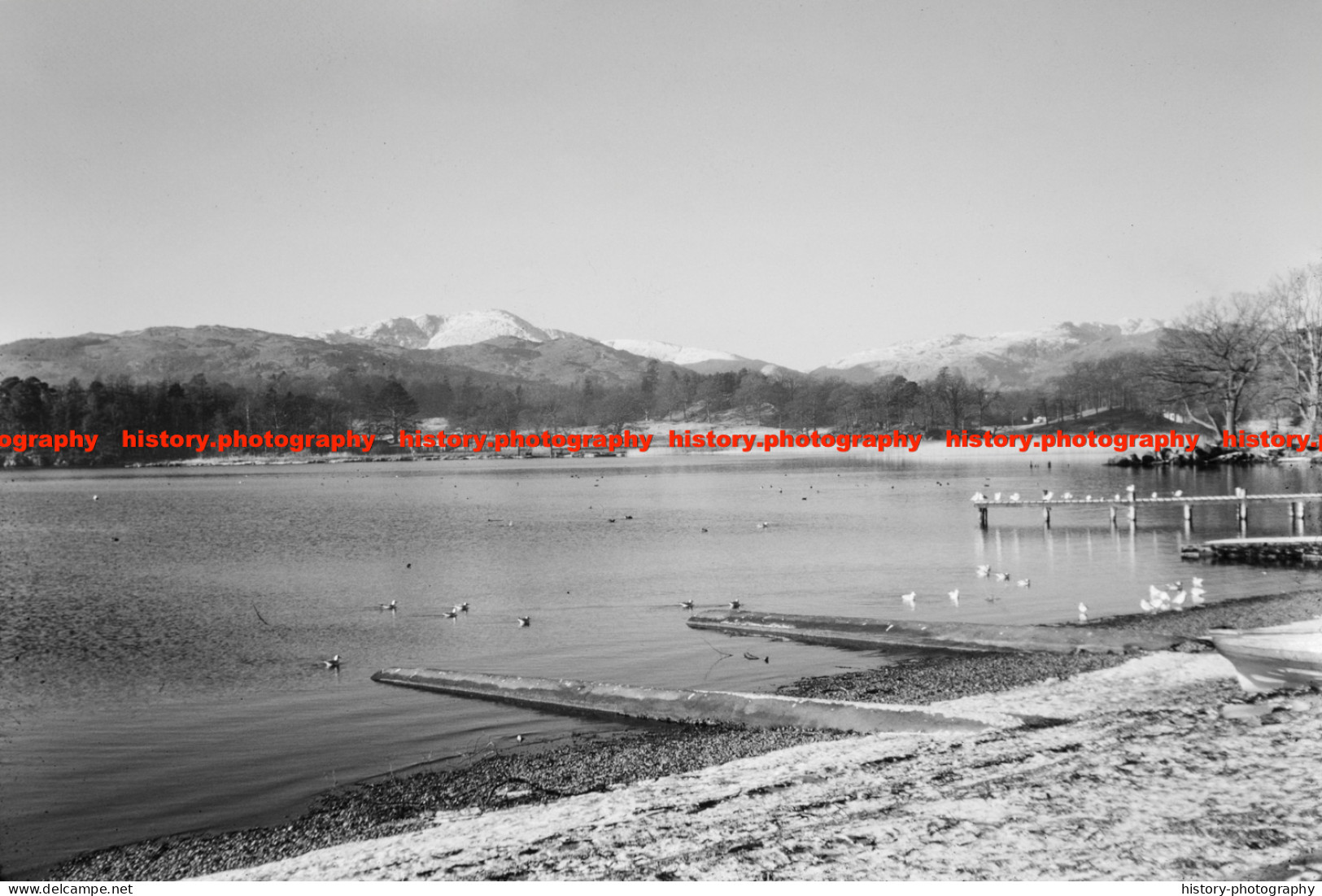 Q003142 Lake Shore At Waterhead Reeds. Cumbria. 1963 - REPRODUCTION - Sonstige & Ohne Zuordnung
