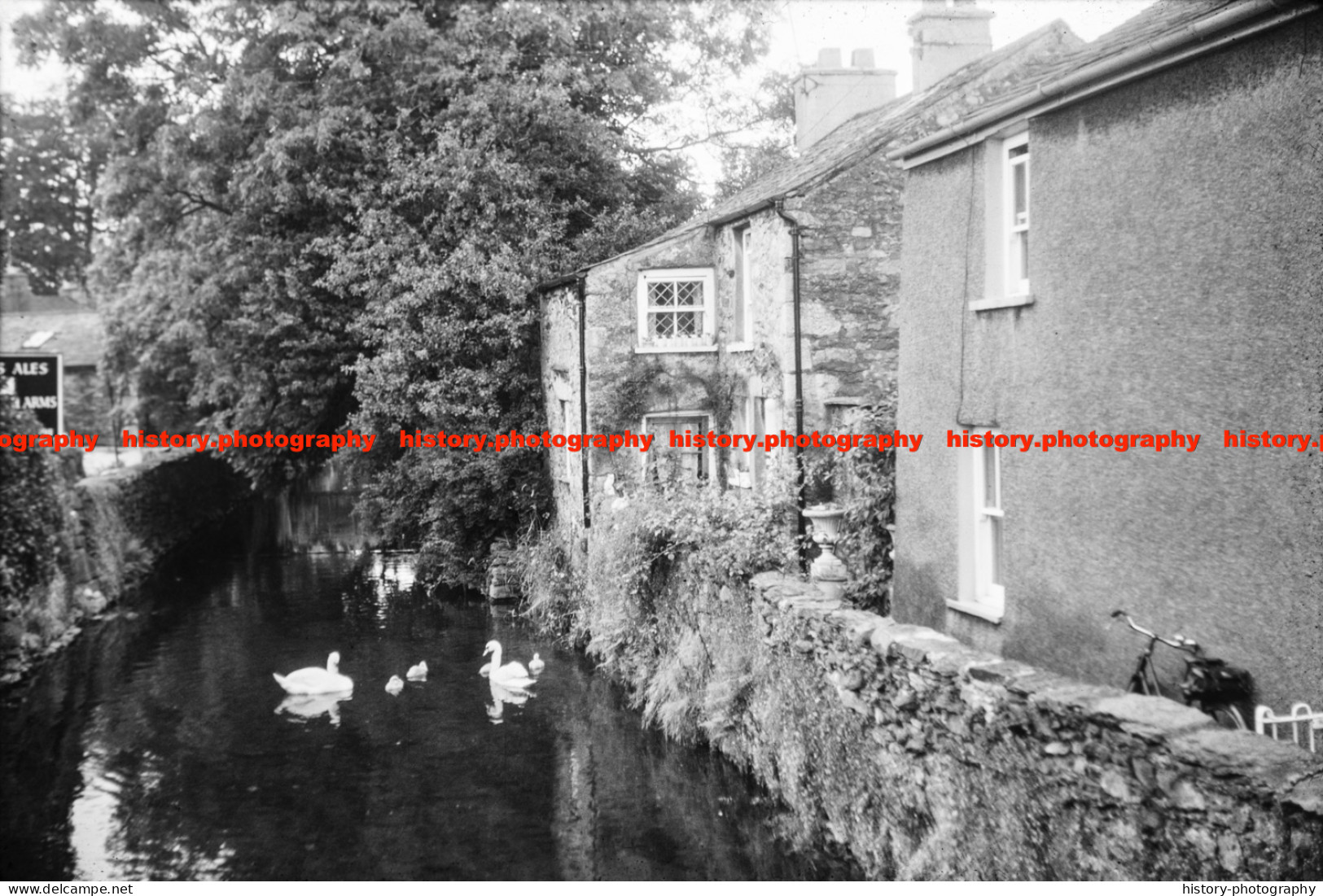 Q003122 Cartmel. Swans. Cumbria. 1964 - REPRODUCTION - Andere & Zonder Classificatie