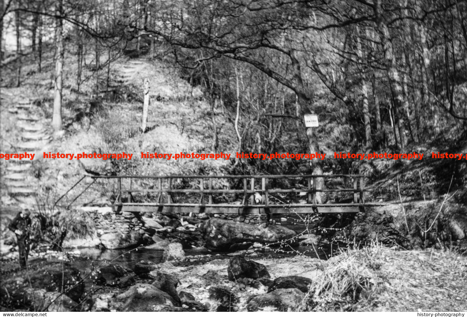 Q003686 Stock Ghyll. Cumbria. 1967 - REPRODUCTION - Other & Unclassified