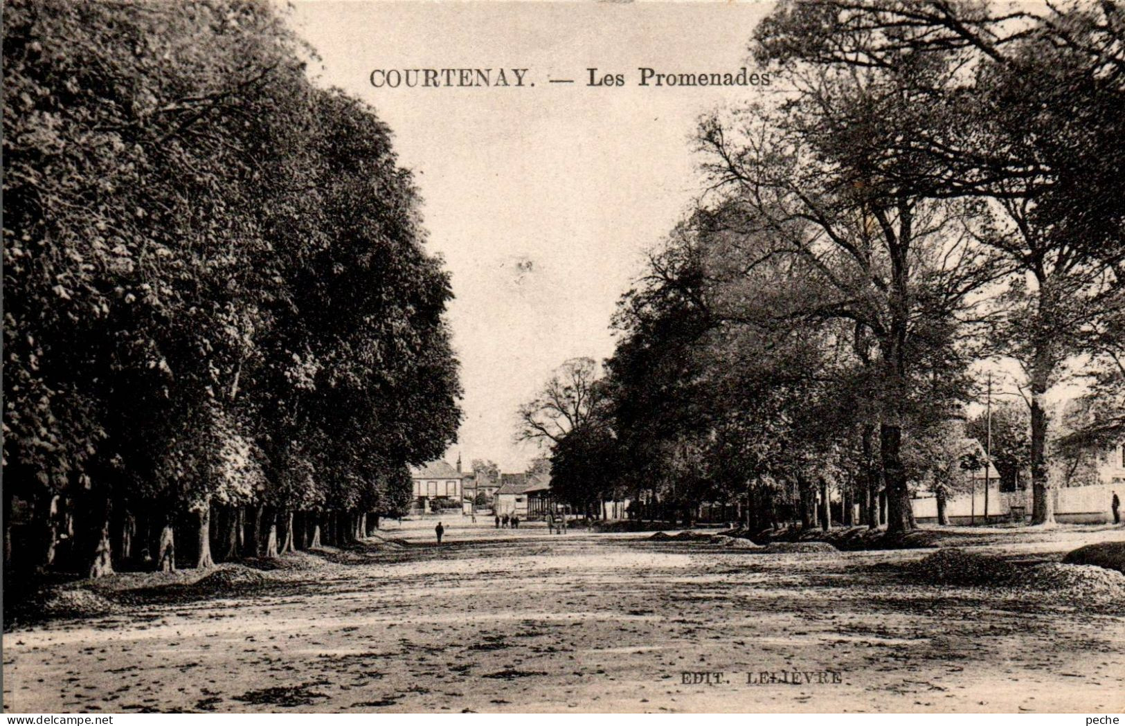 N°372 W -cpa Courtenay -les Promenades- - Courtenay