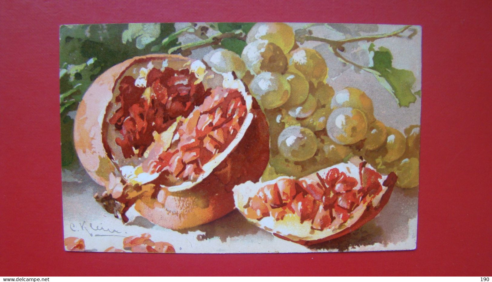 Catharina Klein - Fruit: Grapes And Pomegranate. - Klein, Catharina