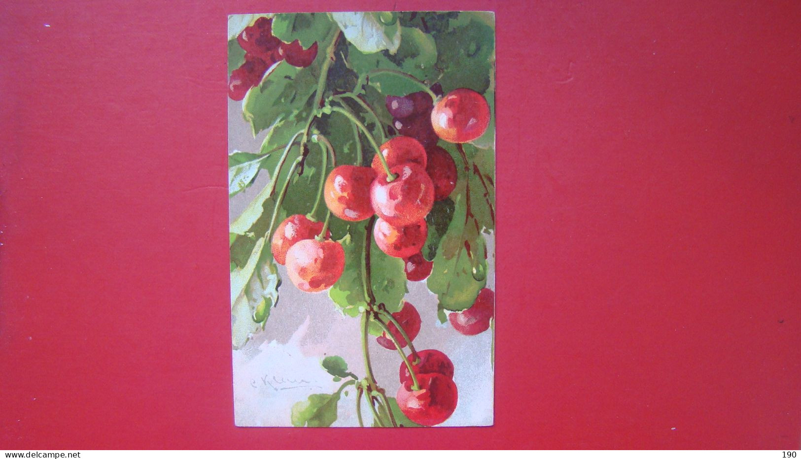 Catharina Klein - Cherries. - Klein, Catharina