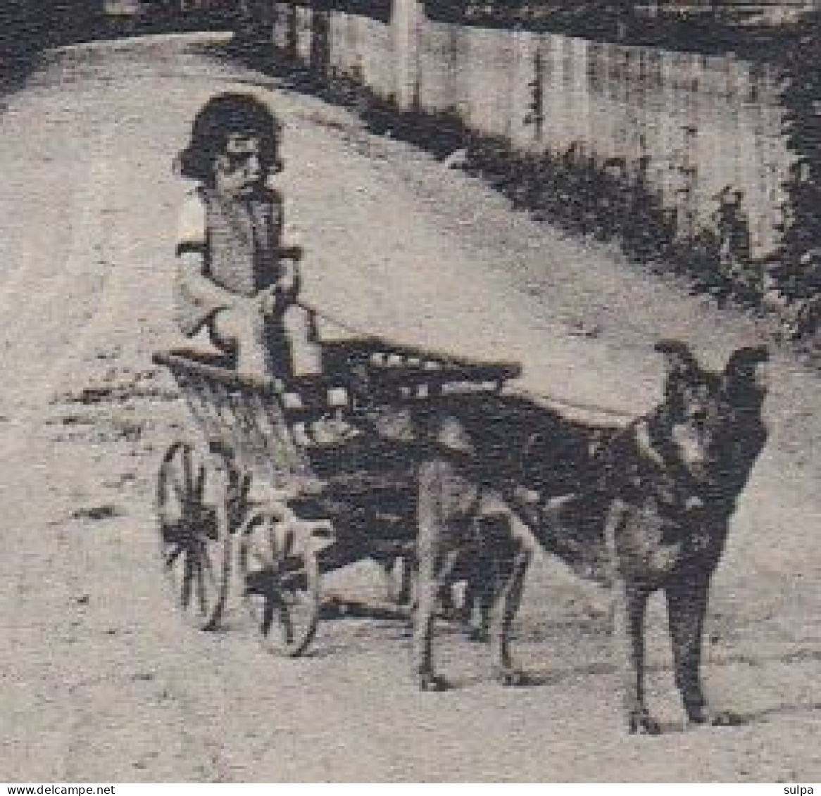 Attelage De Chien. Casino BERN, Circ. 1926 - Chiens