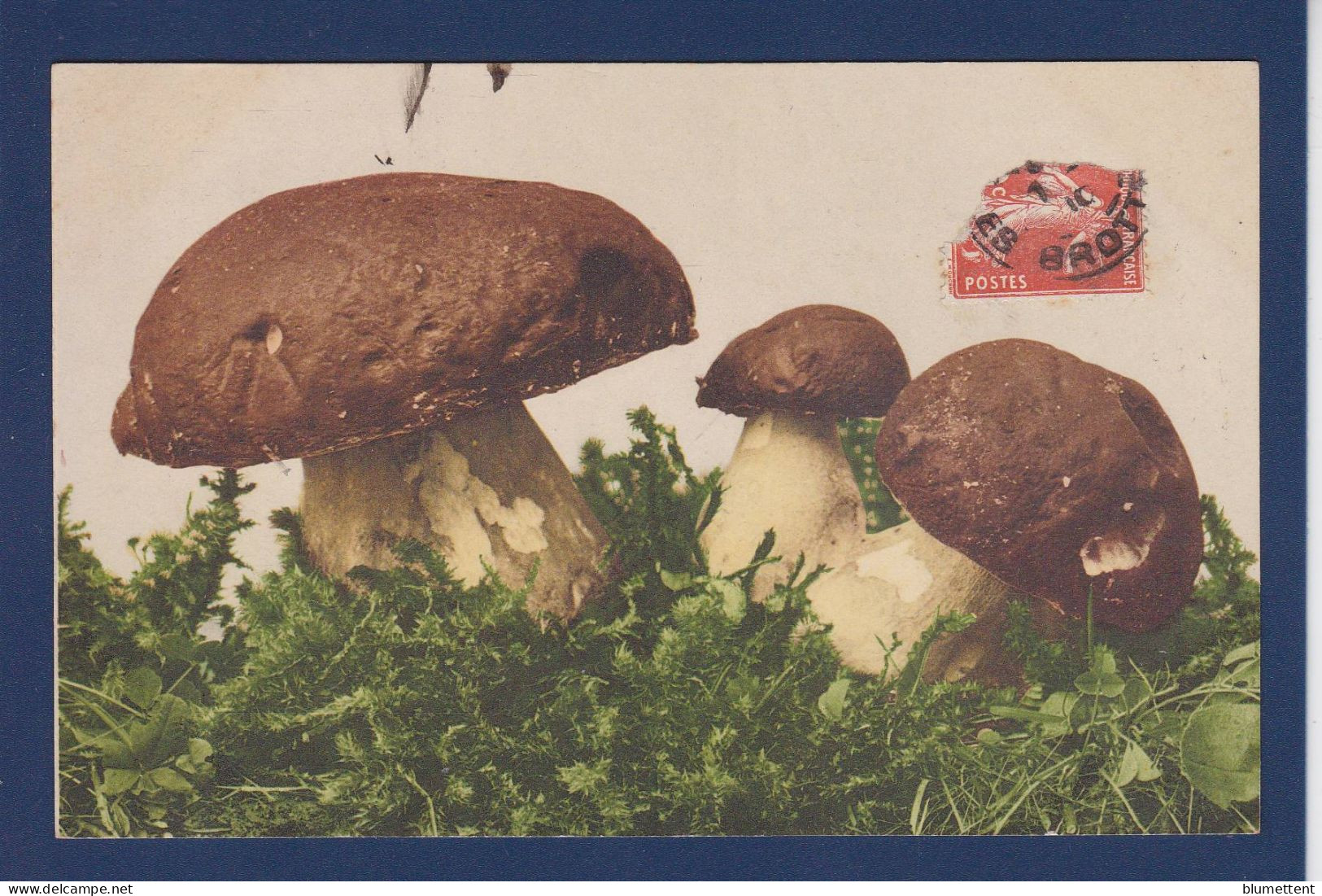 CPA 1 Euro Champignon Mushroom Prix De Départ 1 Euro Circulée - Funghi