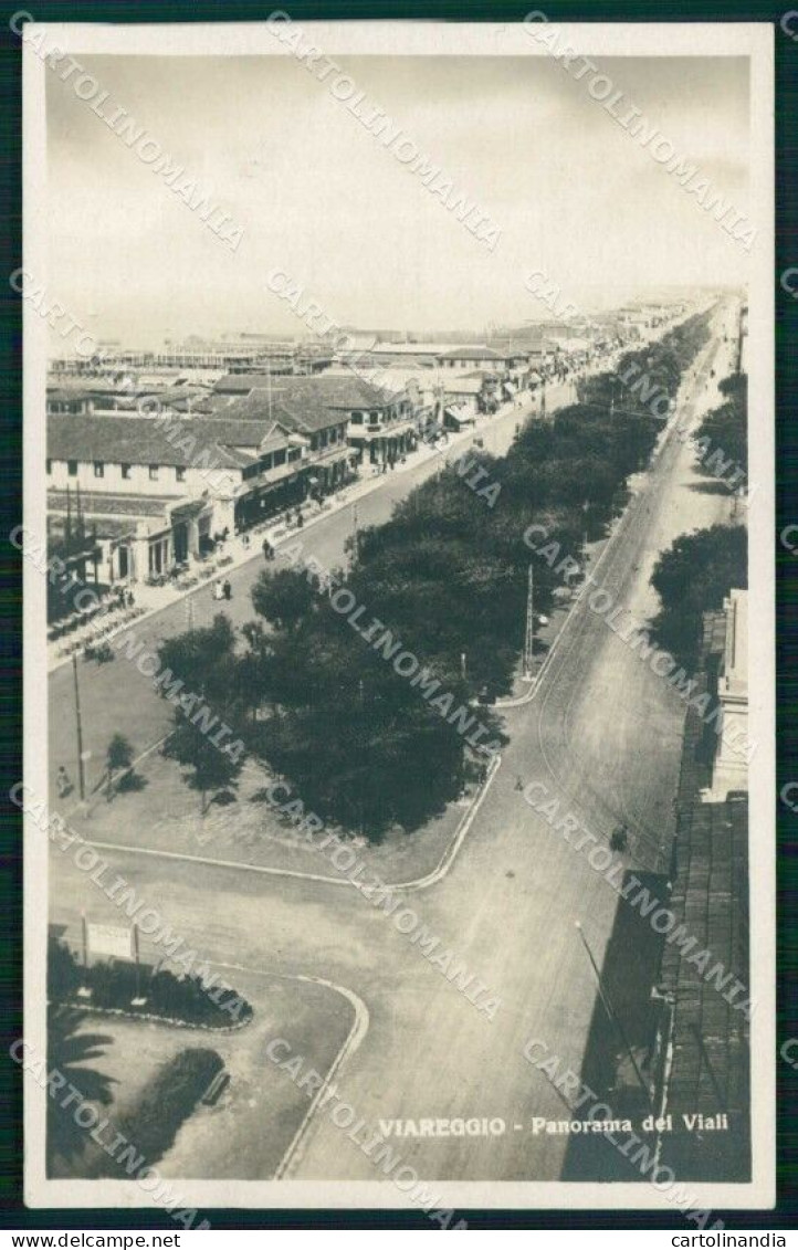 Lucca Viareggio Panorama Dei Viali Alterocca Foto Cartolina RT2028 - Lucca