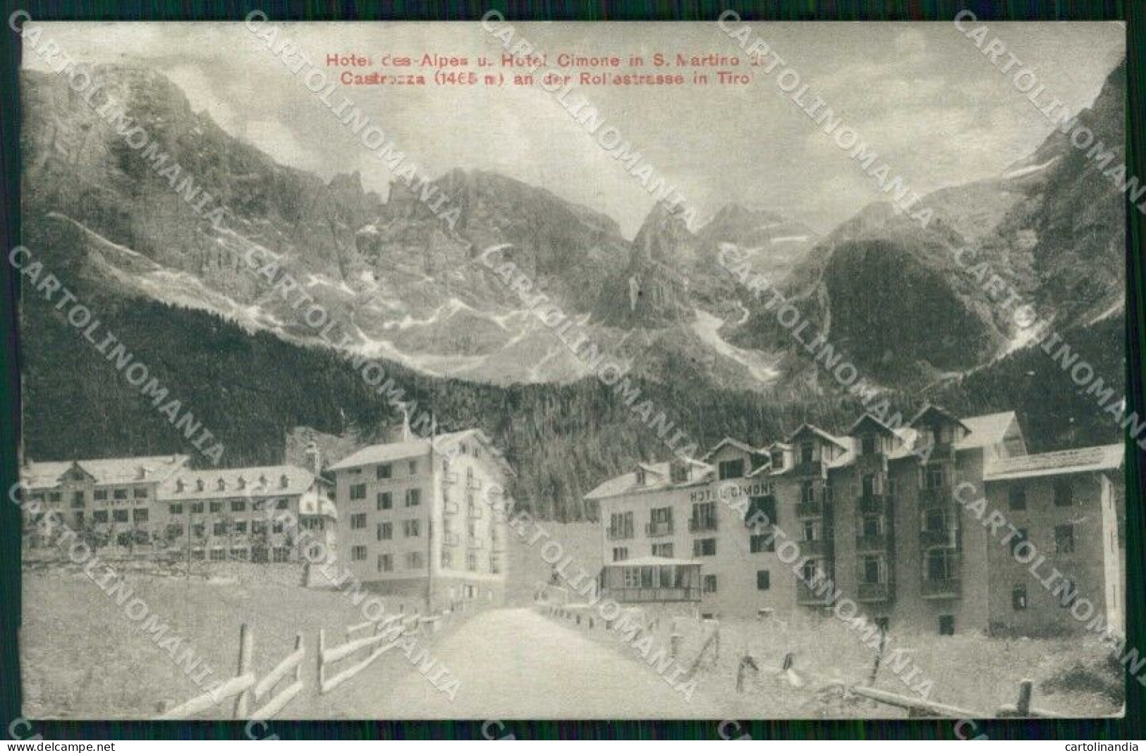 Trento San Martino Di Castrozza Hotel Des Alpes Hotel Cimone Cartolina RT1680 - Trento