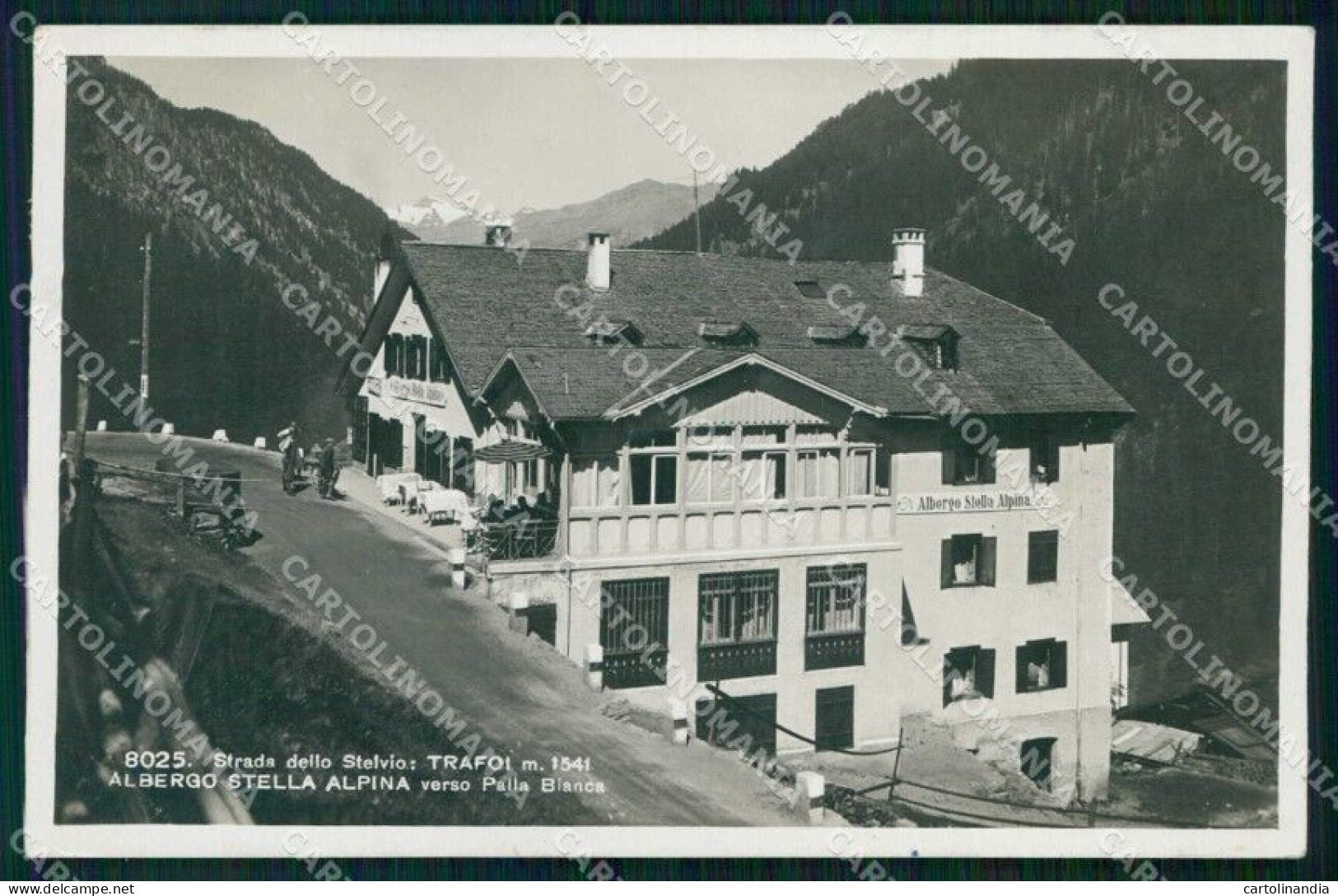 Bolzano Stelvio Albergo Stella Alpina Franzl 8025 Foto Cartolina RT1755 - Bolzano (Bozen)