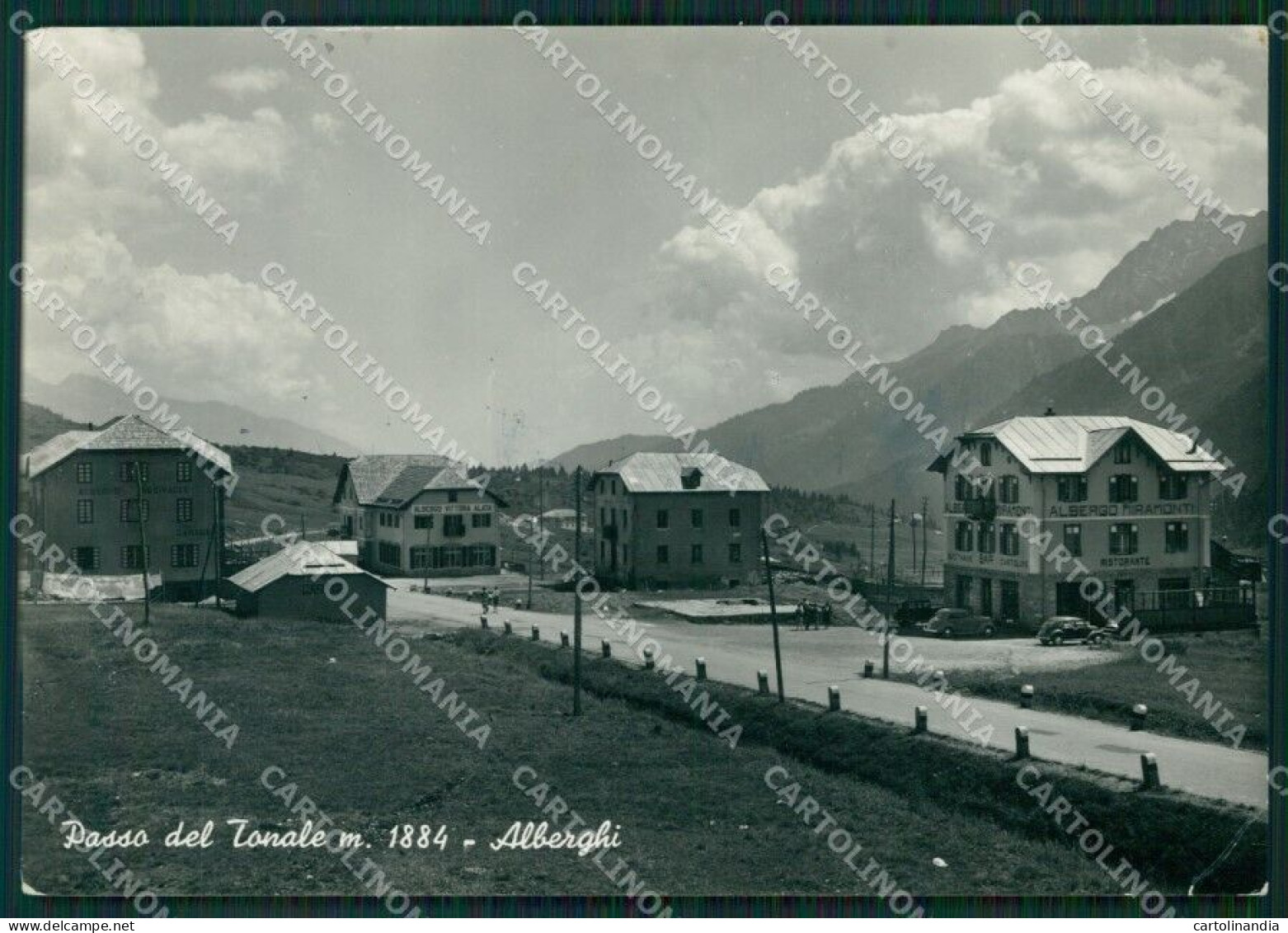 Trento Passo Tonale PIEGHINA Foto FG Cartolina ZK0094 - Trento