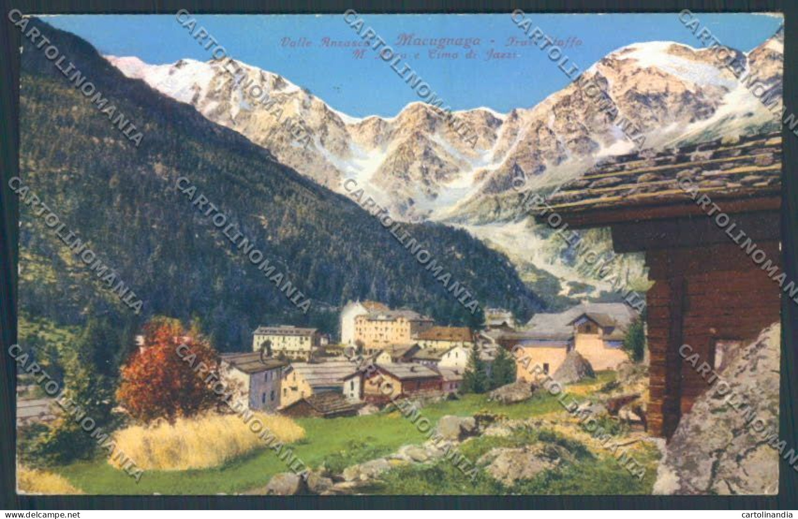 Verbania Macugnaga Monte Rosa Cartolina ZQ7529 - Verbania