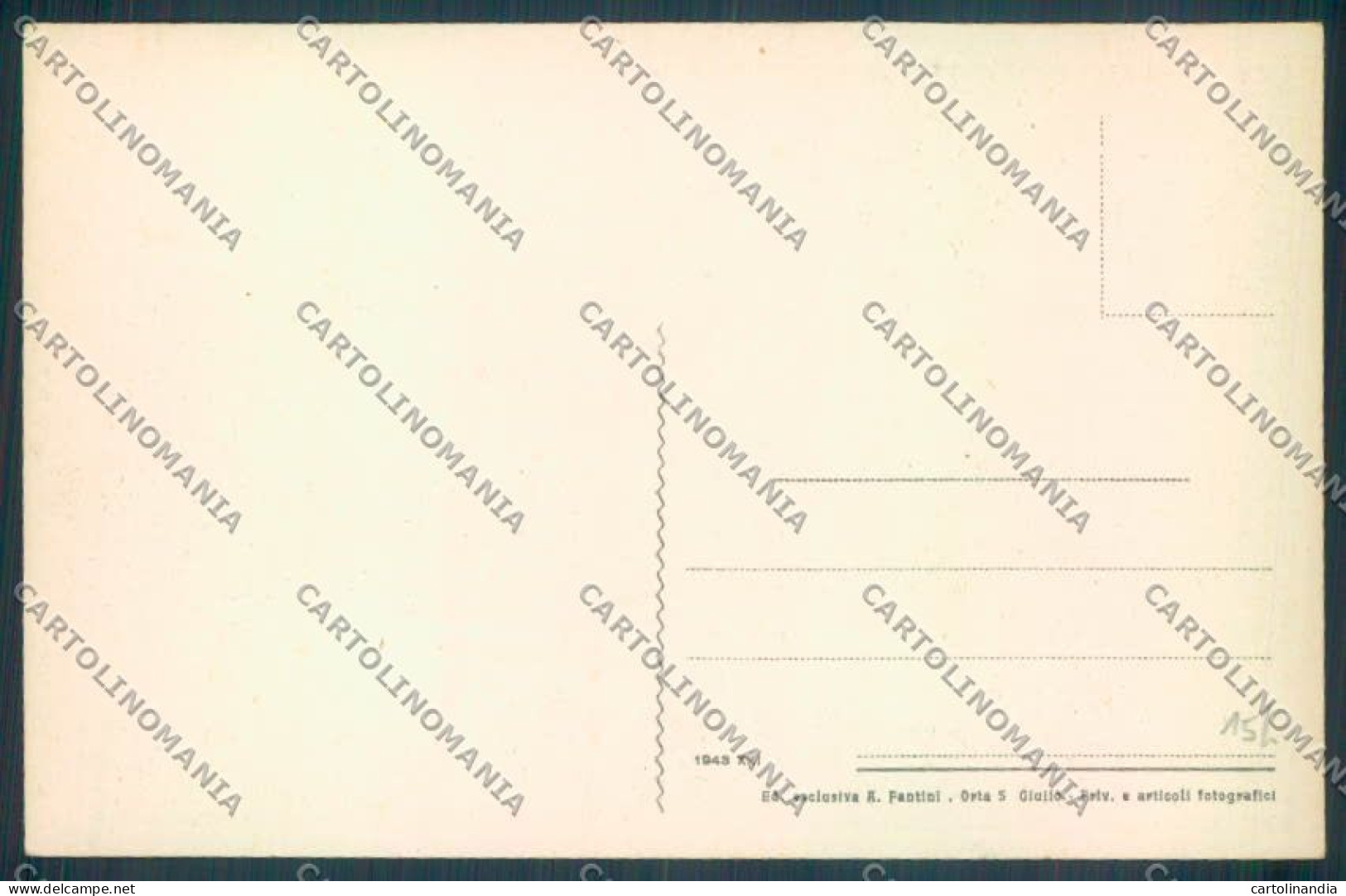 Verbania Orta Cartolina ZQ7261 - Verbania