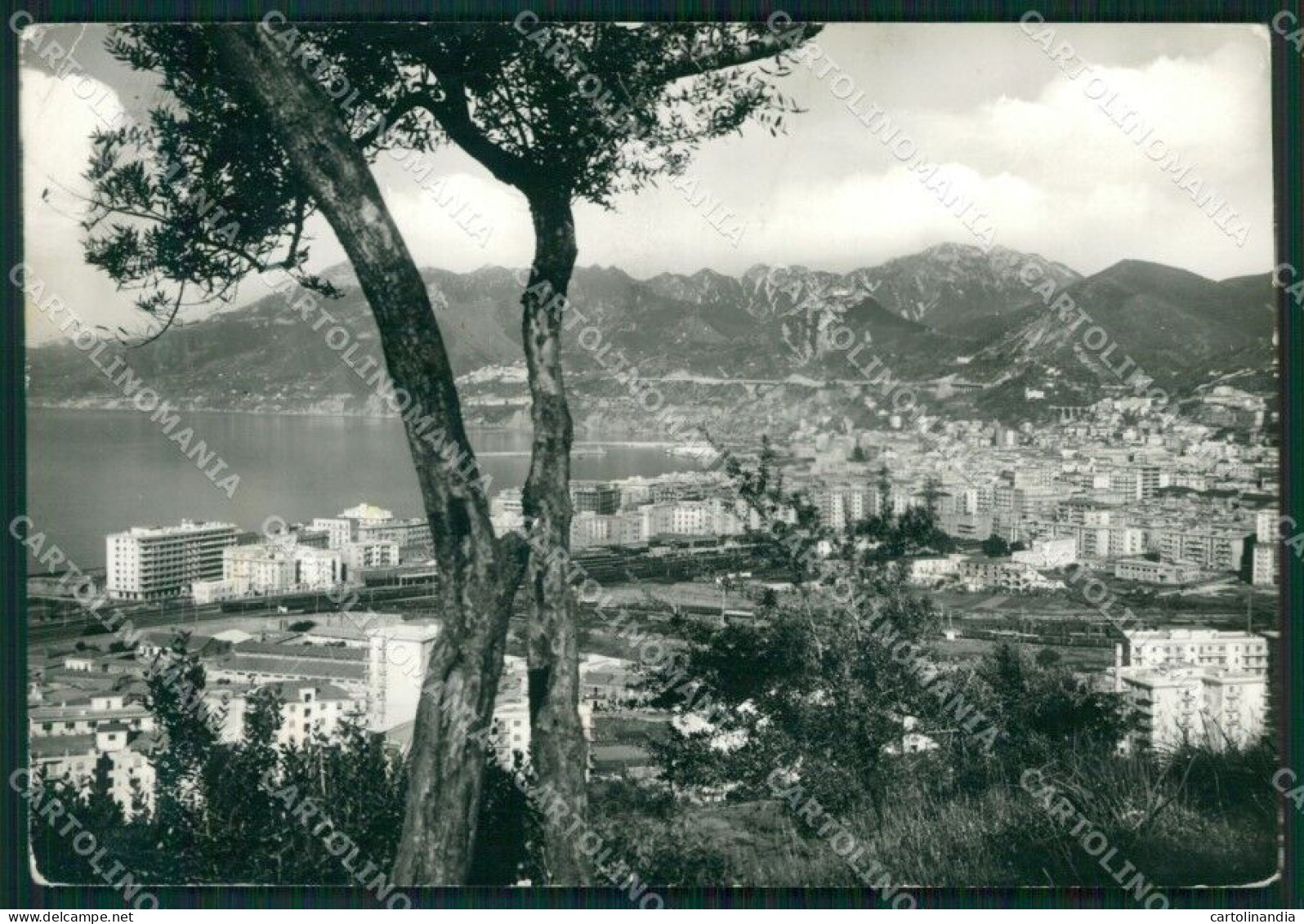 Salerno Città PIEGHINE Foto FG Cartolina KB4067 - Salerno