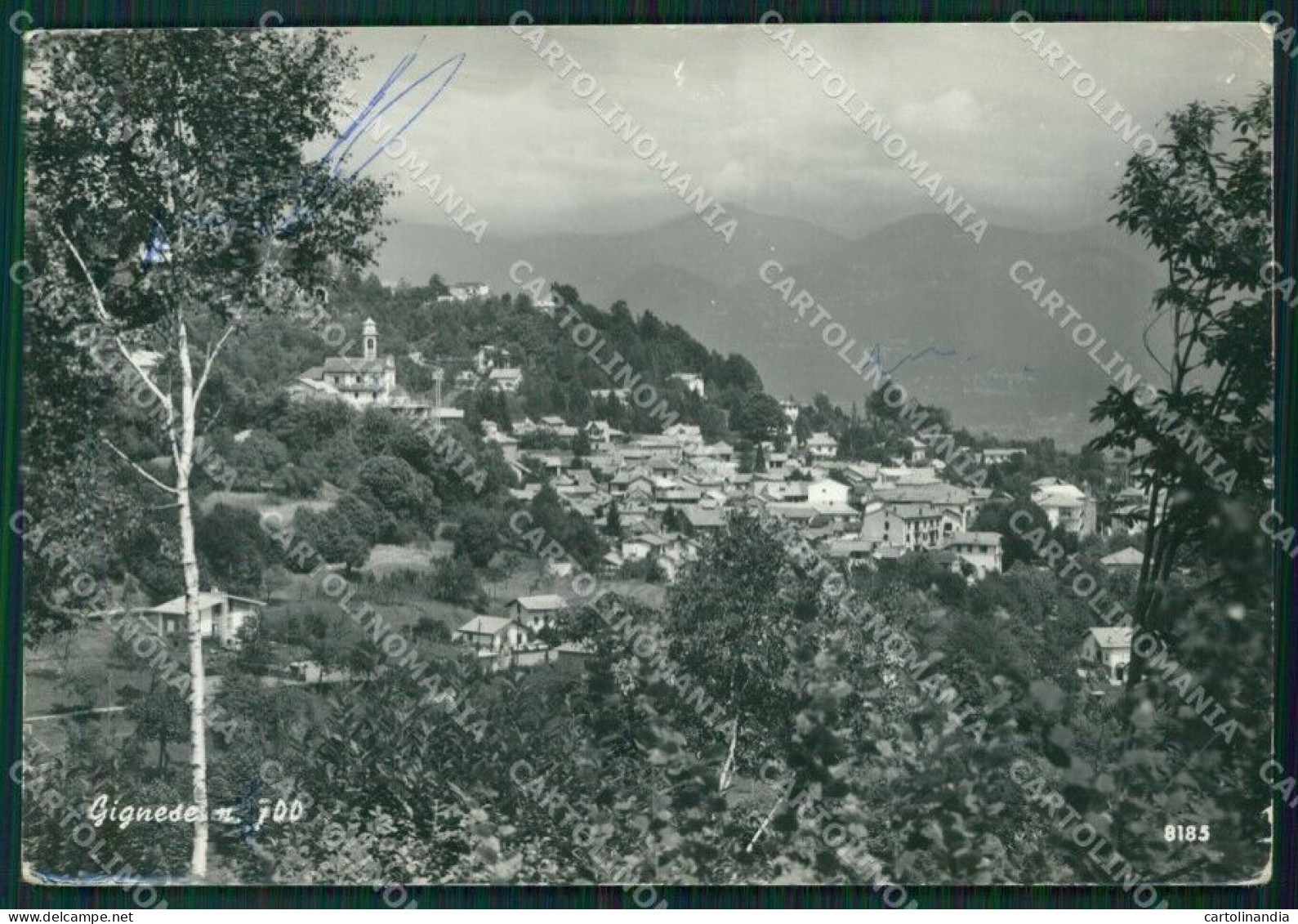 Verbania Gignese PIEGHINA Foto FG Cartolina ZK5774 - Verbania