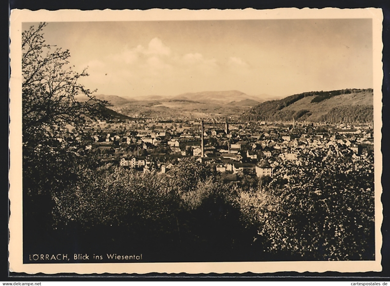 AK Lörrach, Blick Ins Wiesental  - Loerrach