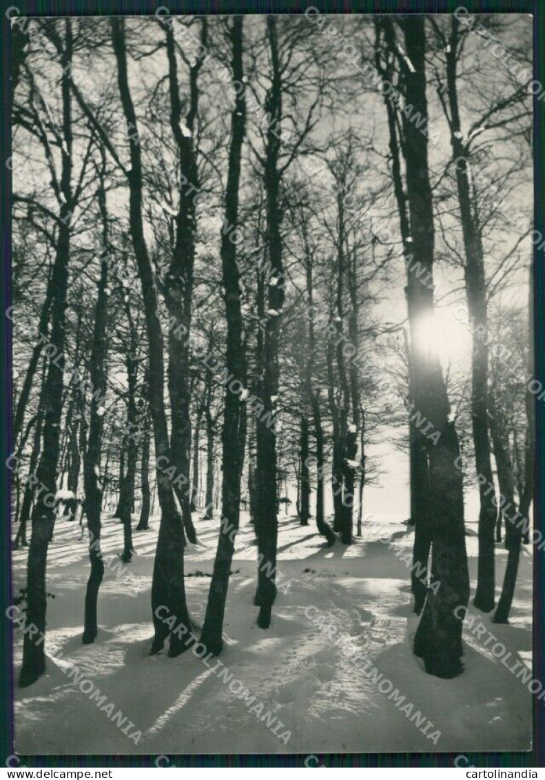 Rieti Terminillo Nevicata Foto FG Cartolina KB4087 - Rieti