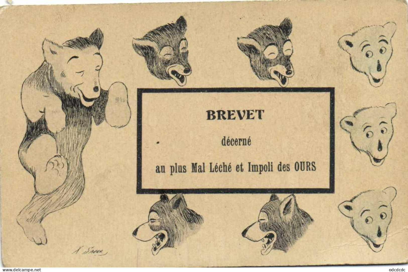 X SAGER  BREVET Décerné Au Plus Mal Léché Et Ompoli Des Ours RV - Sager, Xavier