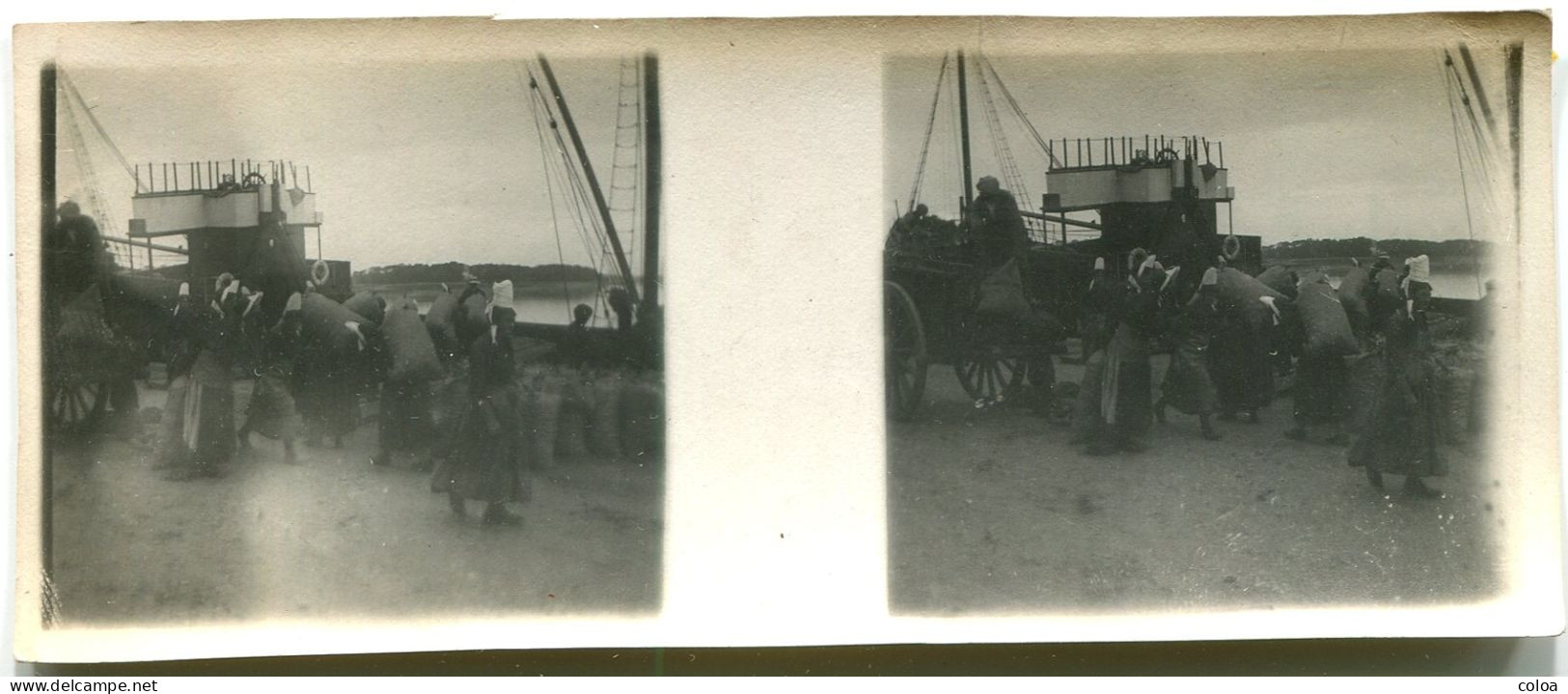BRETAGNE Deux Photographies Privées Stéréo Bigoudenes En Coiffe Déchargeant Un Bateau Charrette - Barche