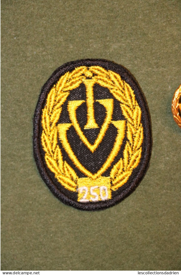 Ecusson Et épinglette Insigne 250 - V V I ? - Patches