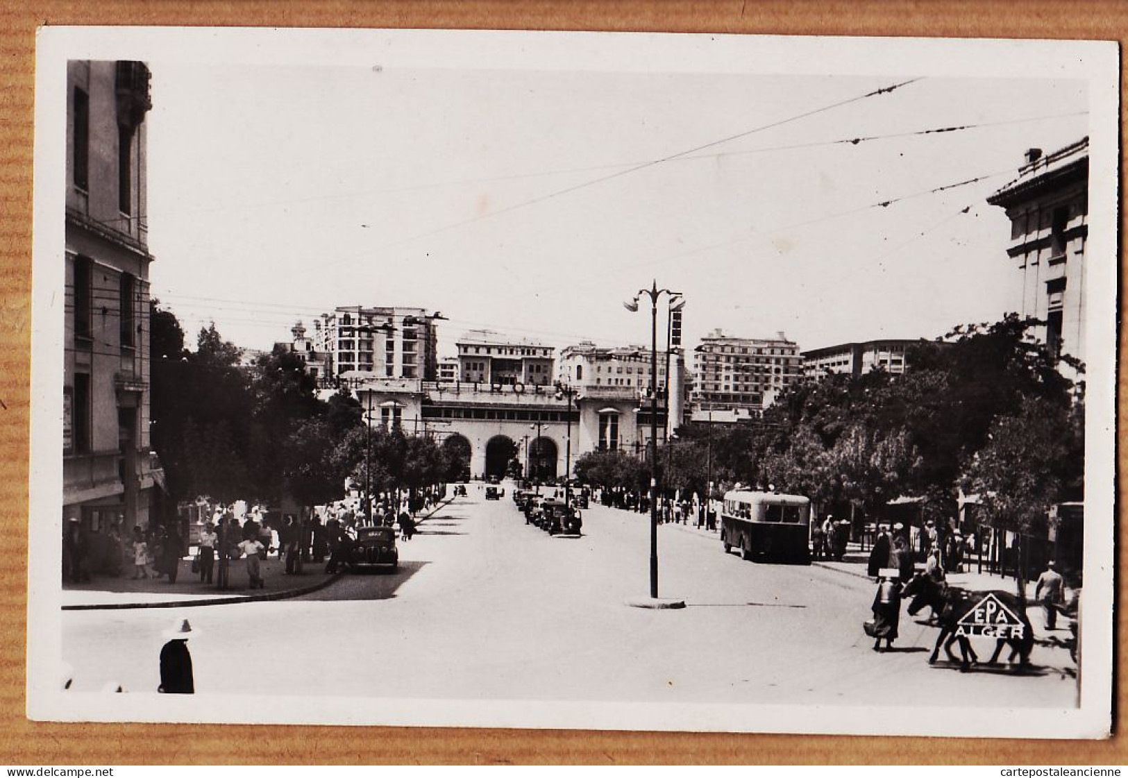 26488 / ⭐ Etat Parfait CONSTANTINE Autocar Bus Avenue Pierre LIAGRE1950s Bromure PHOTO-AFRICAINES 13 Alger - Constantine