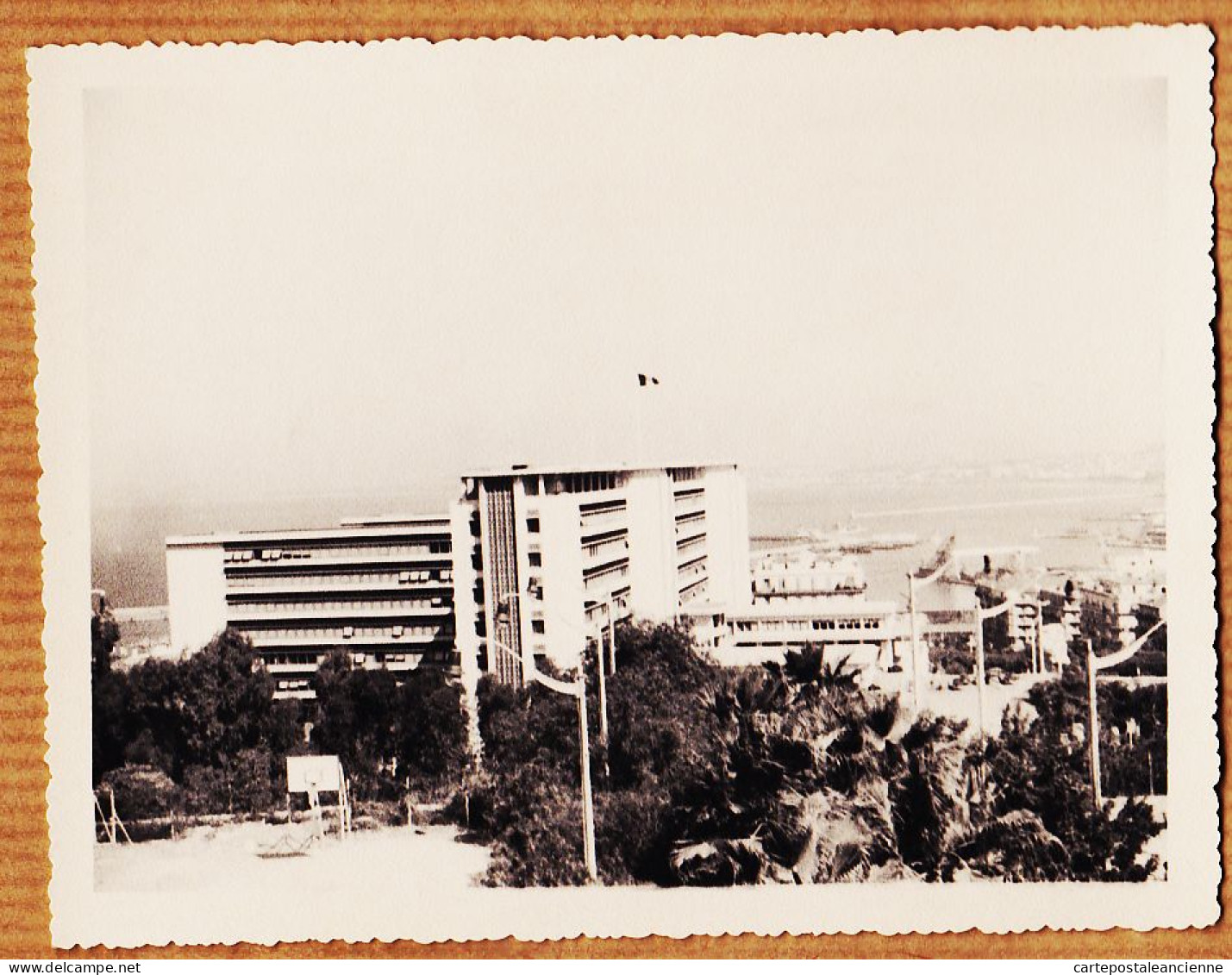 26432 / ⭐ ALGER 13 Juin 1959 Gouvernement Général Terrain Basket Vue Du Boulevard Gl DELATTRE Photo 127x103mm - Algiers