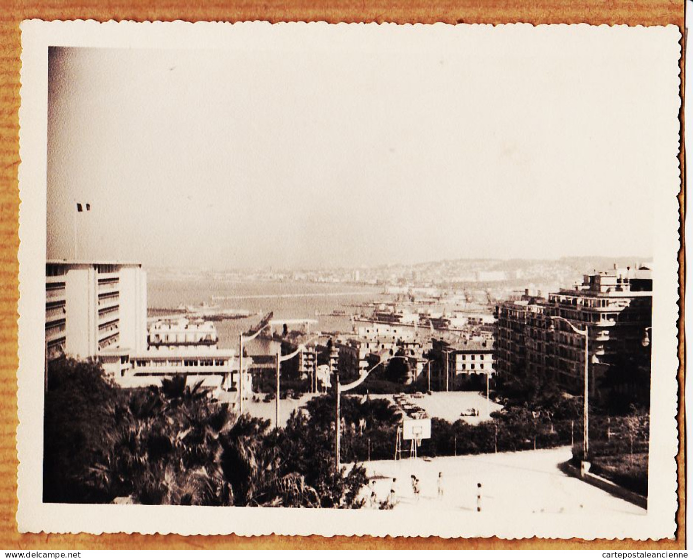 26429 / ⭐ ALGER 13 Juin 1959 Gouvernement Général Terrain Basket Du Forum Vue Sur La Baie Algérie Photo 127x103mm - Algeri