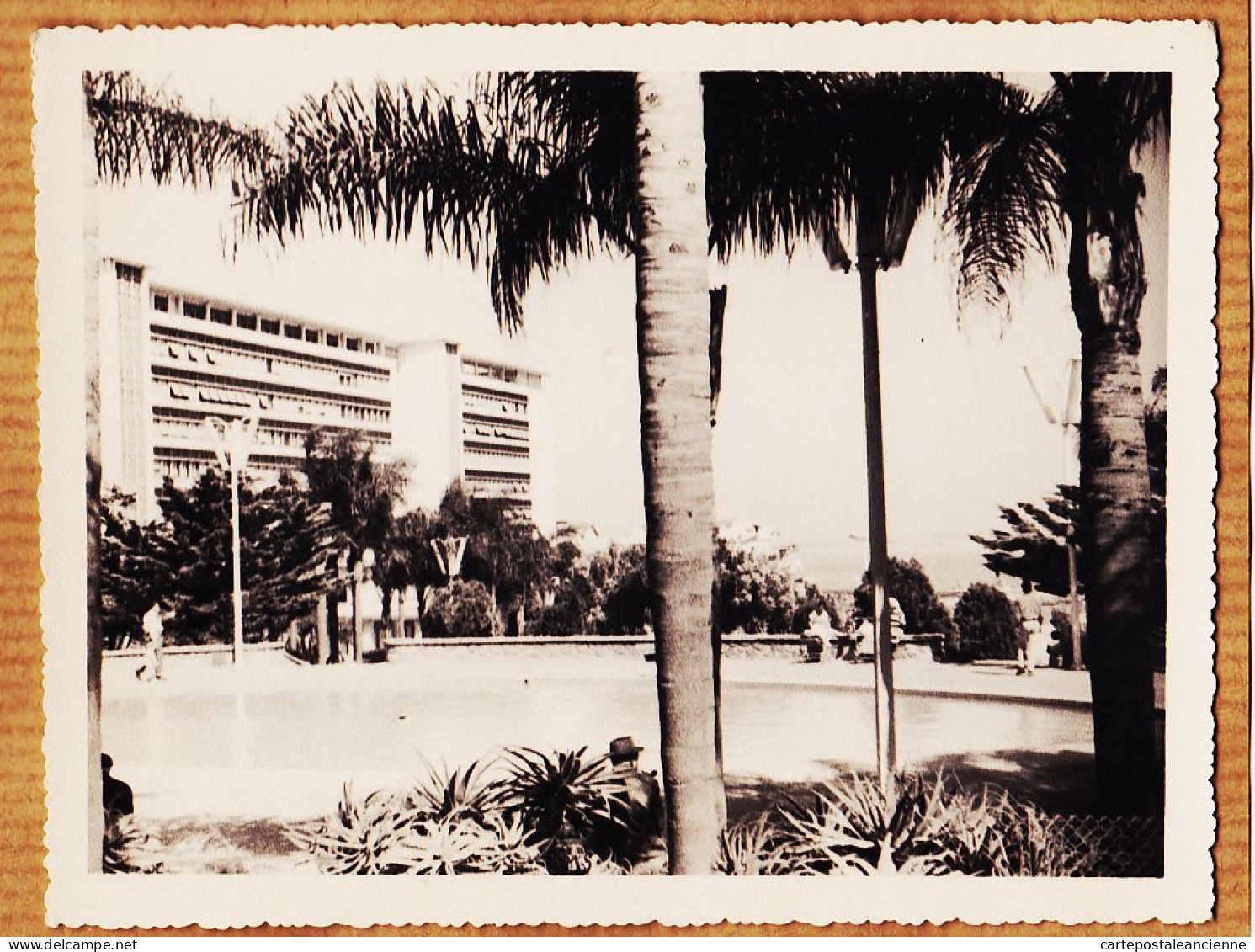 26430 / ⭐ ALGER 13 Juin 1959 Gouvernement Général Vue Du Jardin D' Enfants Algérie Photographie 127x103mm - Algiers