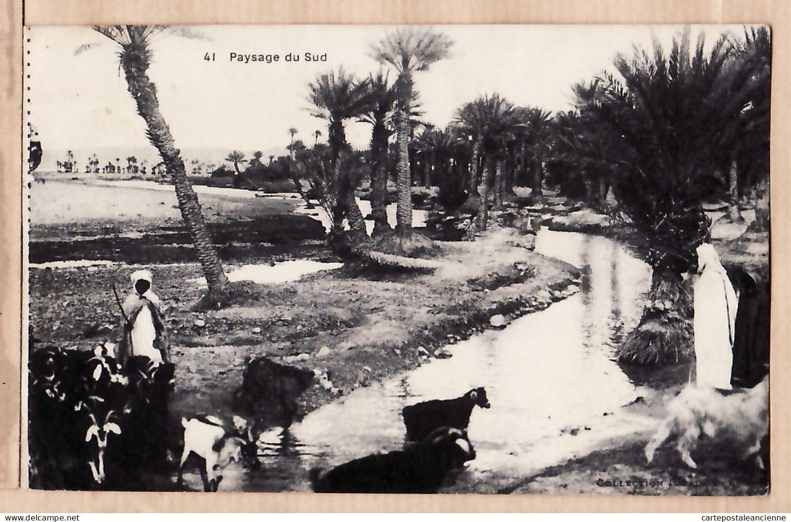 26456 / ⭐ Algerie Ecrite De ZAOUÏA SIDI HAMZA Paysage Du SUD Chèvres Chevriers Oued 1920s - IDEALE PS 41 -ALGERIA - Autres & Non Classés