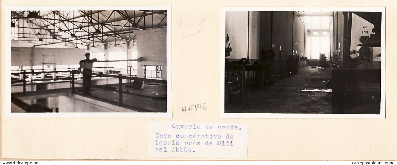 26408 / ⭐ CAVE COOPERATIVE De TASSIN Près SIDI BEL ABBES 1950s Cuverie De Garde Lot  2 Photographies Algérie - Lieux