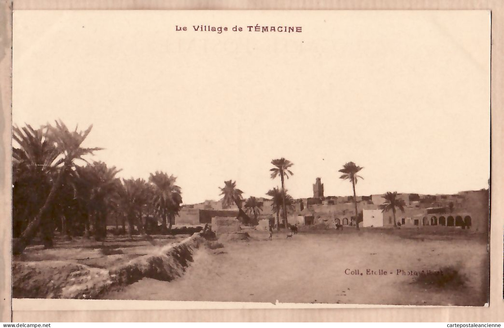 26464 / ⭐ Algerie Le Village De TEMACINE 1920s - ETOILE Photo ALBERT Librairie Mme DEWAMME -ALGERIA ALGERIEN - Autres & Non Classés