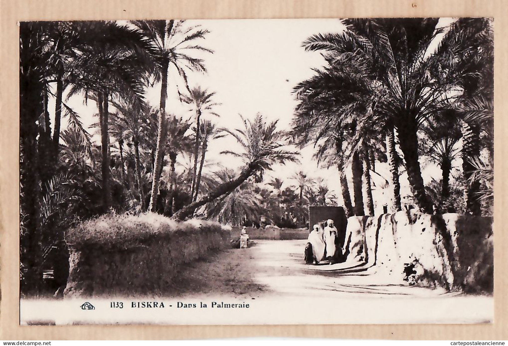 26171 / ⭐ ◉  ♥️ (•◡•) Algerie BISKRA Dans La PALMERAIE 1930s - CAP 1133  ALGERIA ALGERIEN ARGELIA ALGERIJE - Biskra
