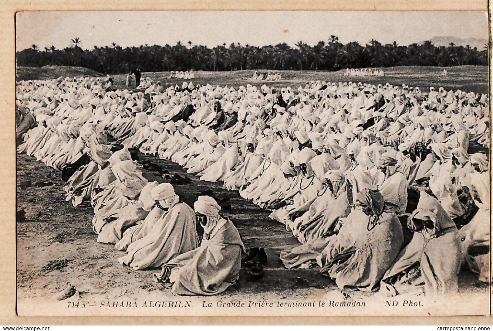 26437 / ⭐ SAHARA ALGERIEN Grande Prière Terminant RAMADAN à Veuve CABANNES Propriétaire Argeliers Narbonne NEURDEIN 714 - Scènes & Types