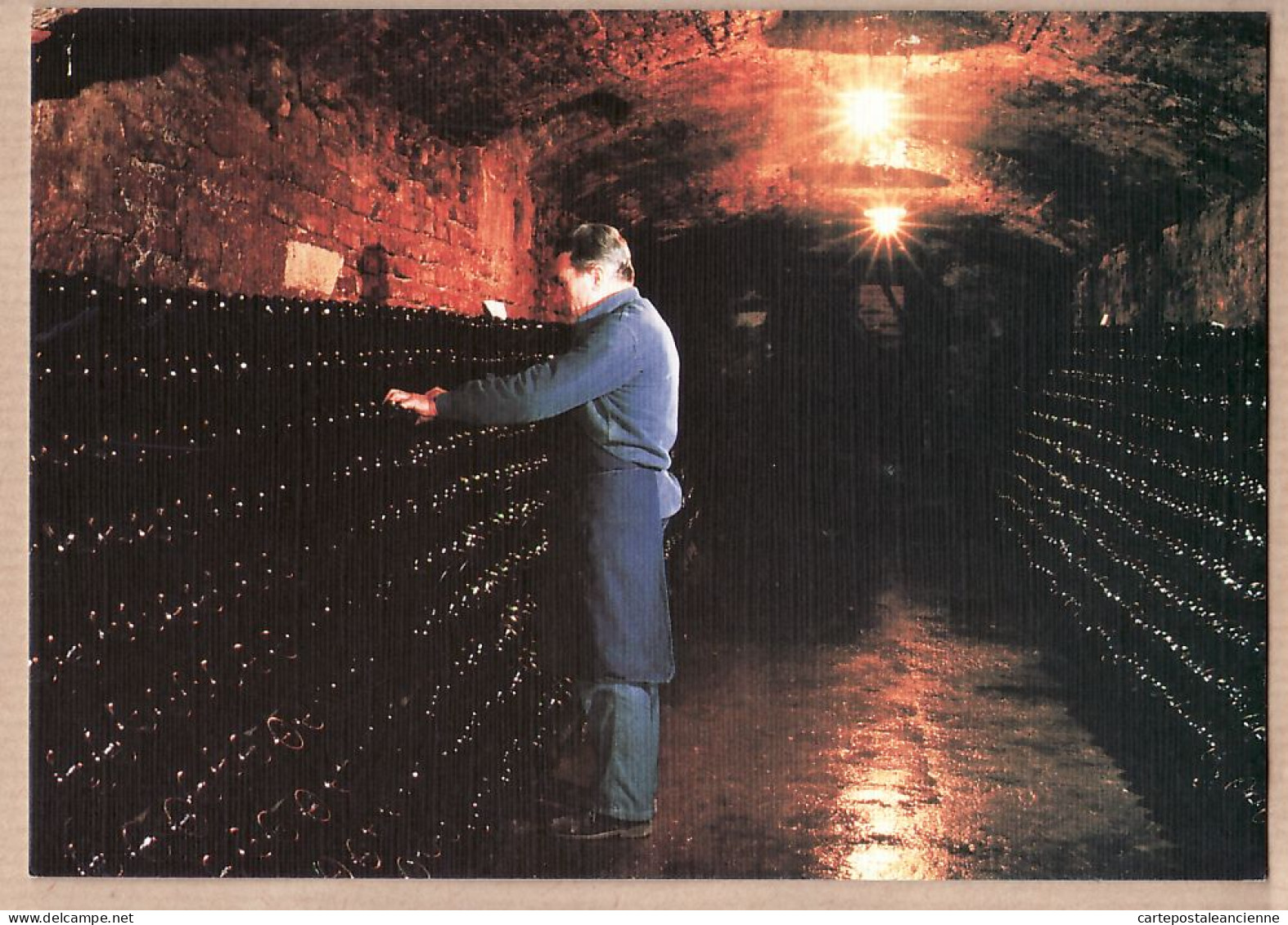 26323 / ⭐ Region CHAMPAGNE Remuage Manuel Bouteilles En Cave Viticulture CP Toilée 1980s Cpagr - Wijnbouw