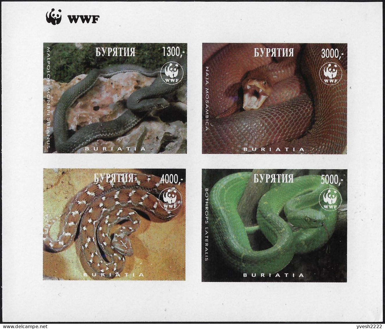 Buratia, émission Fantaisiste, Cendrillon. WWF, Serpents - Autres & Non Classés