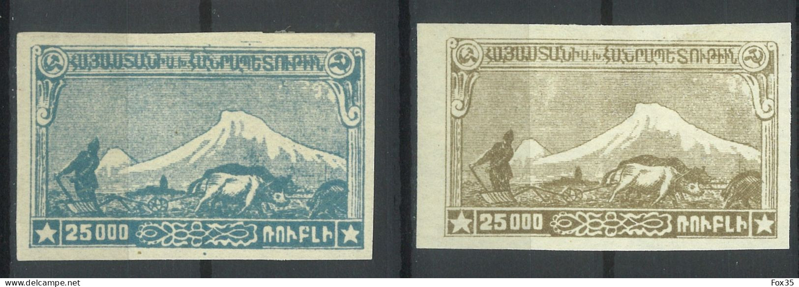 Armenia 1919-1923, 1921 First Constantinople Pictorials Issue set, imperforated, sold as genuine, CV 57€