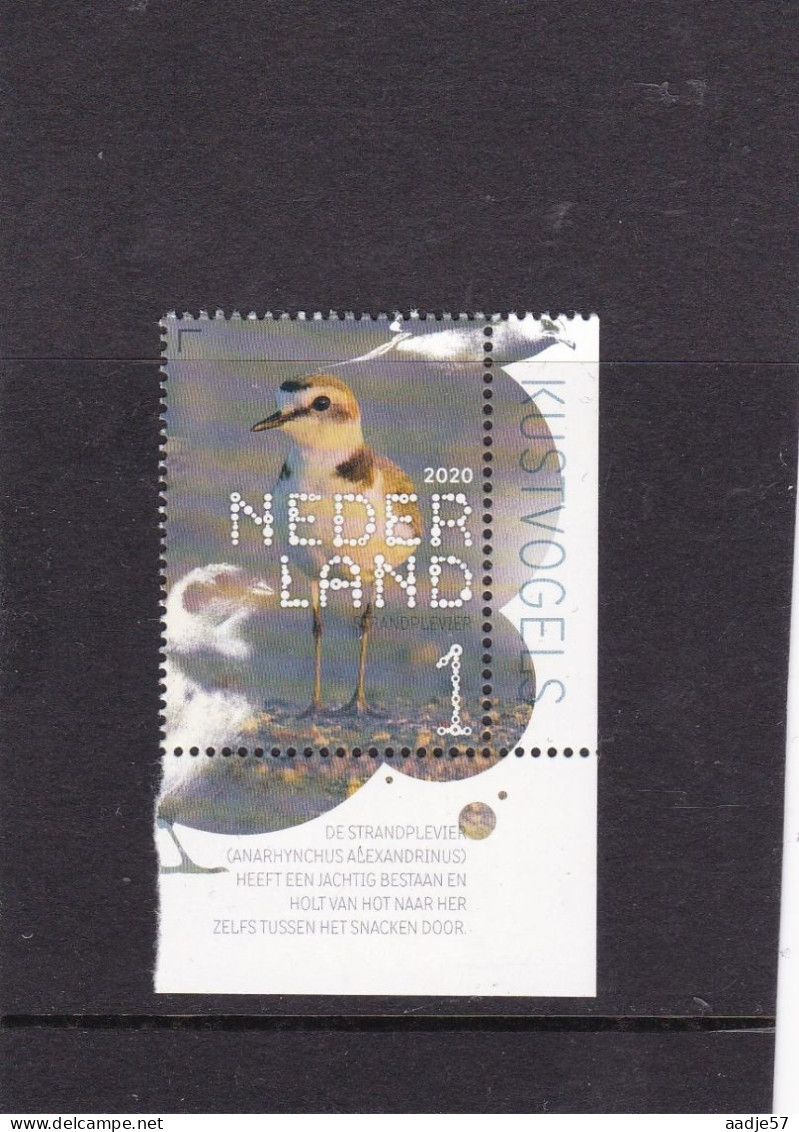 Netherlands Pays Bas 2020 Strandplevier MNH** - Neufs