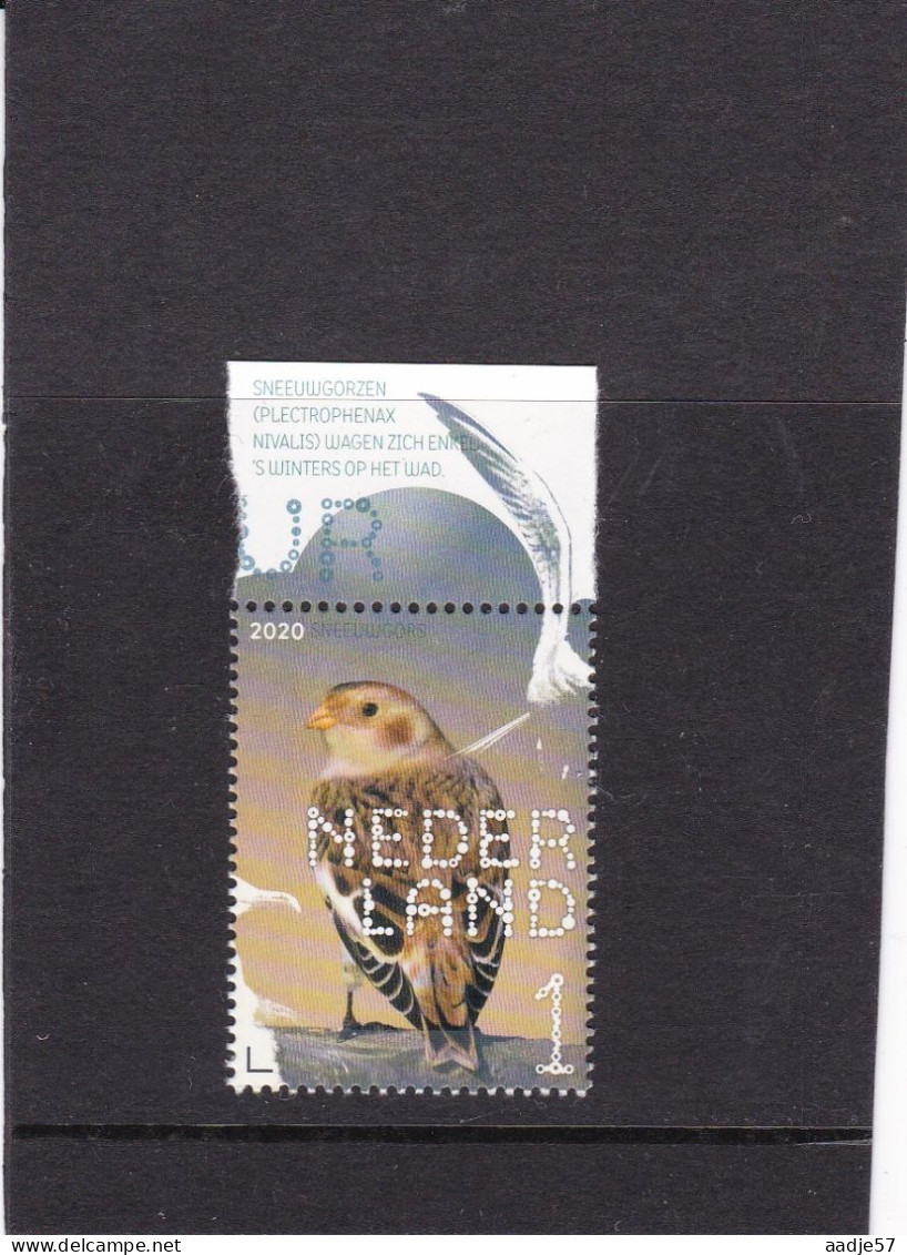 Netherlands Pays Bas Sneeuwgorzen Snow Buntings MNH** - Neufs