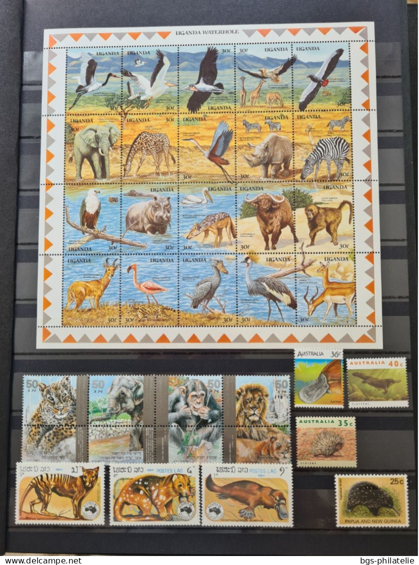 Collection De Timbres Sur Le Thème Des Animaux. - Collezioni (senza Album)