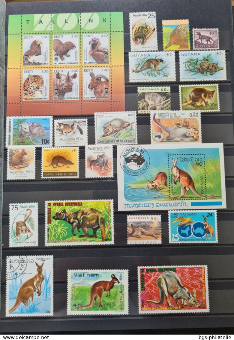 Collection De Timbres Sur Le Thème Des Animaux. - Collezioni (senza Album)