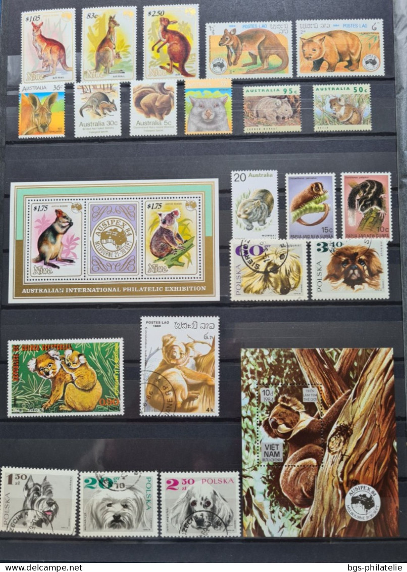 Collection de timbres sur le thème des Animaux.