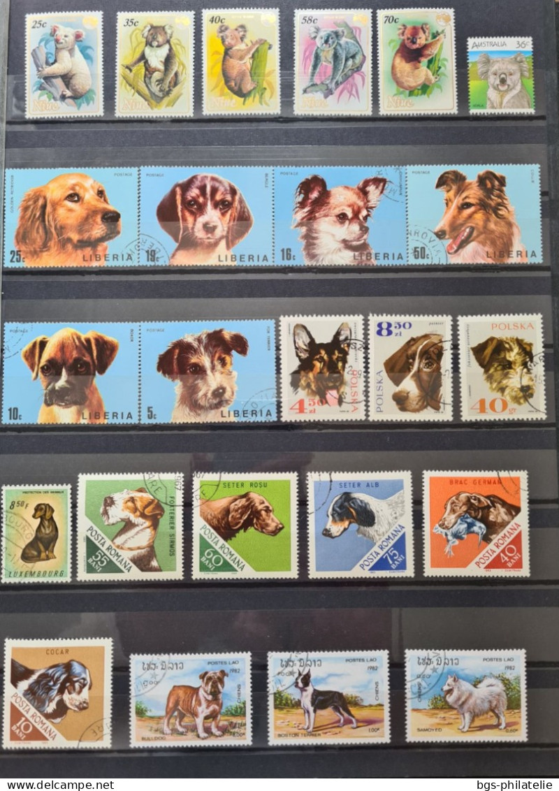 Collection de timbres sur le thème des Animaux.