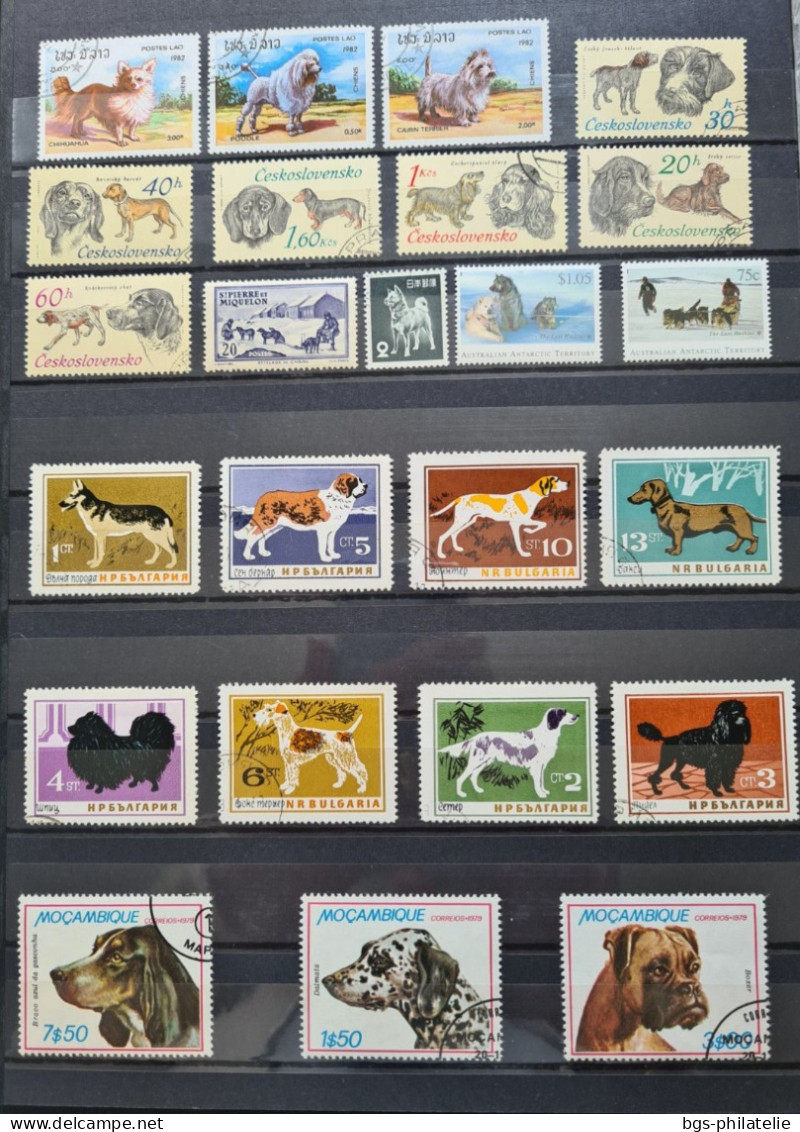 Collection de timbres sur le thème des Animaux.