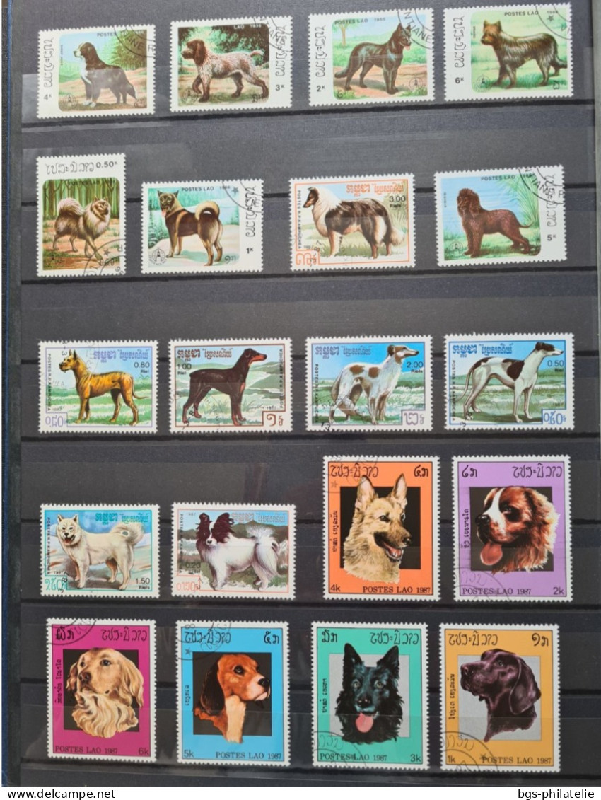 Collection de timbres sur le thème des Animaux.